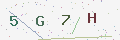 验证码