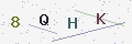 验证码