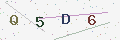 验证码